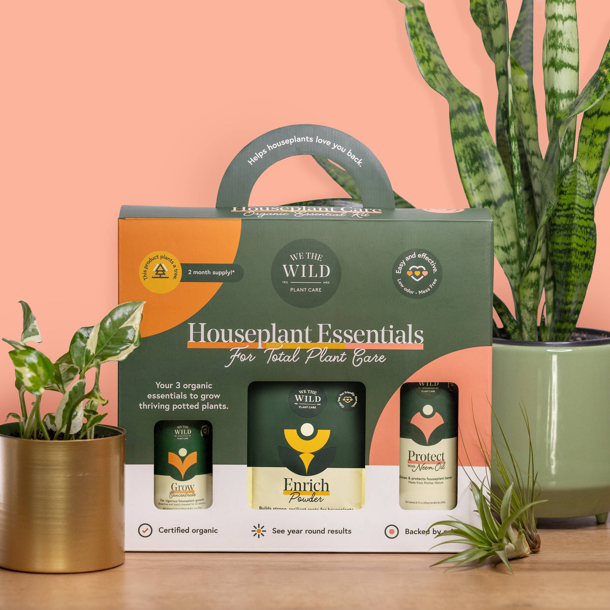 Houseplant Care Essentials Organic Starter Kit