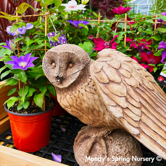 Barny Owl Garden Statue