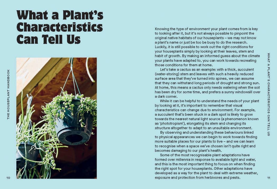 The Houseplant Handbook