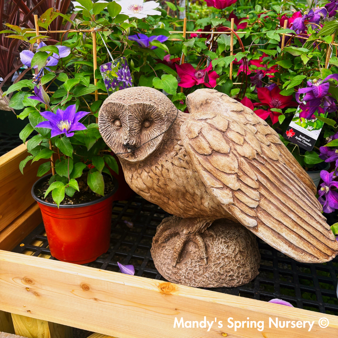 Barny Owl Garden Statue