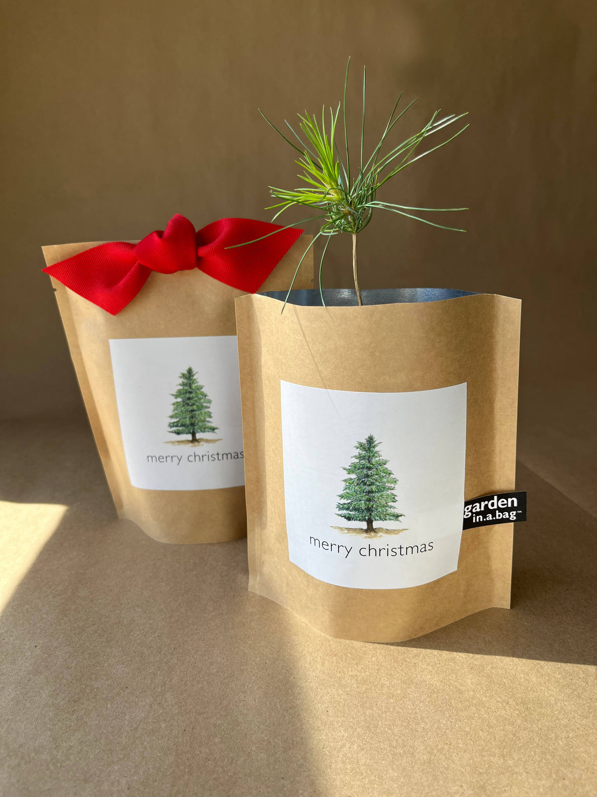 Garden in a Bag | Christmas Tree | Best Seller