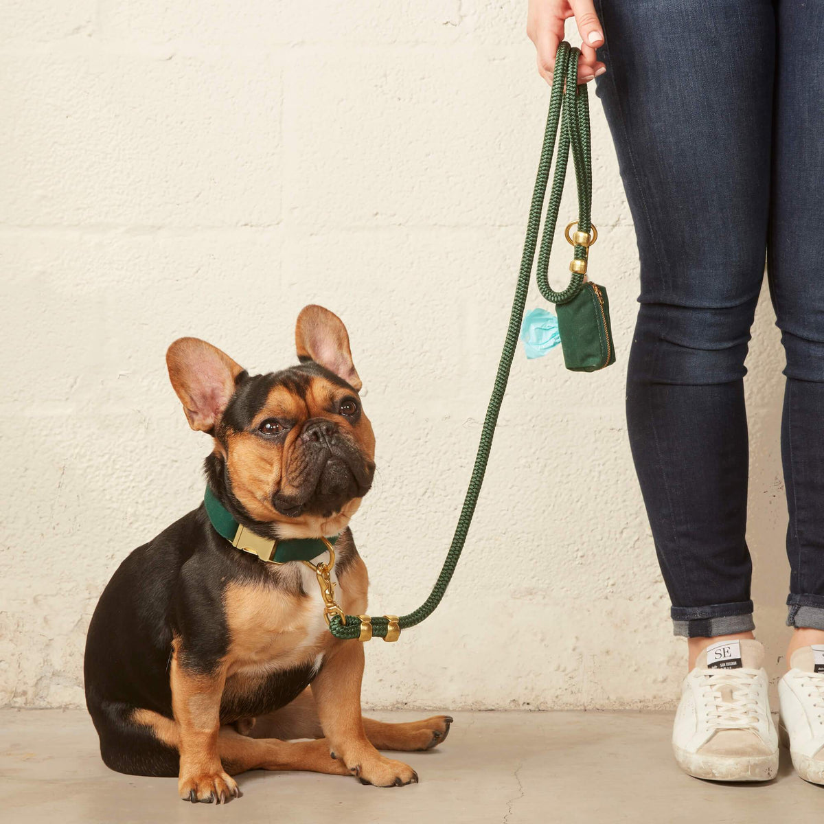 Evergreen Dog Collar
