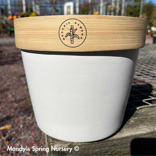 Bamboo Flower Pot