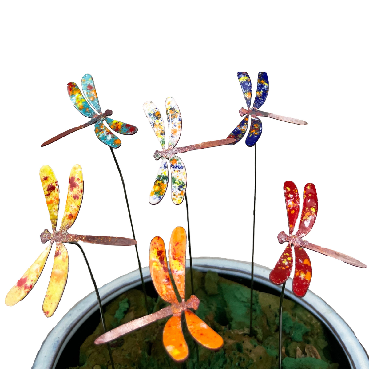 Small Copper Enamel Dragonflies