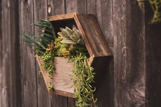 Reclaimed Wood Hexagon Planter / Geometric Wall Planter