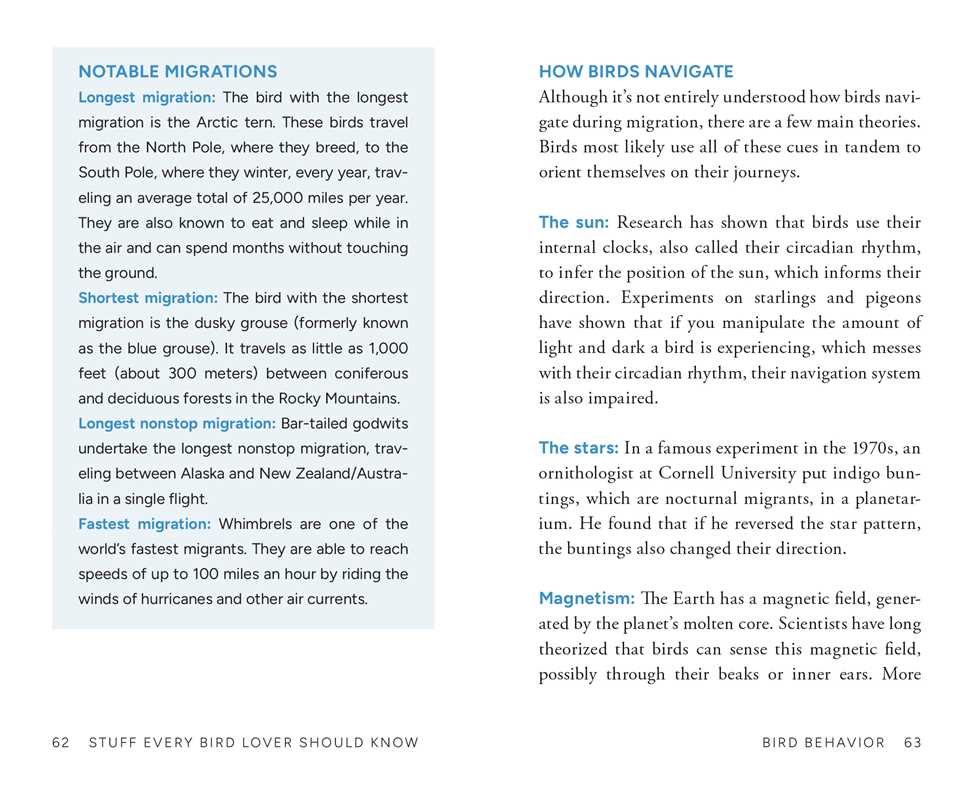 Stuff Every Bird Lover Should Know by Alice Sun