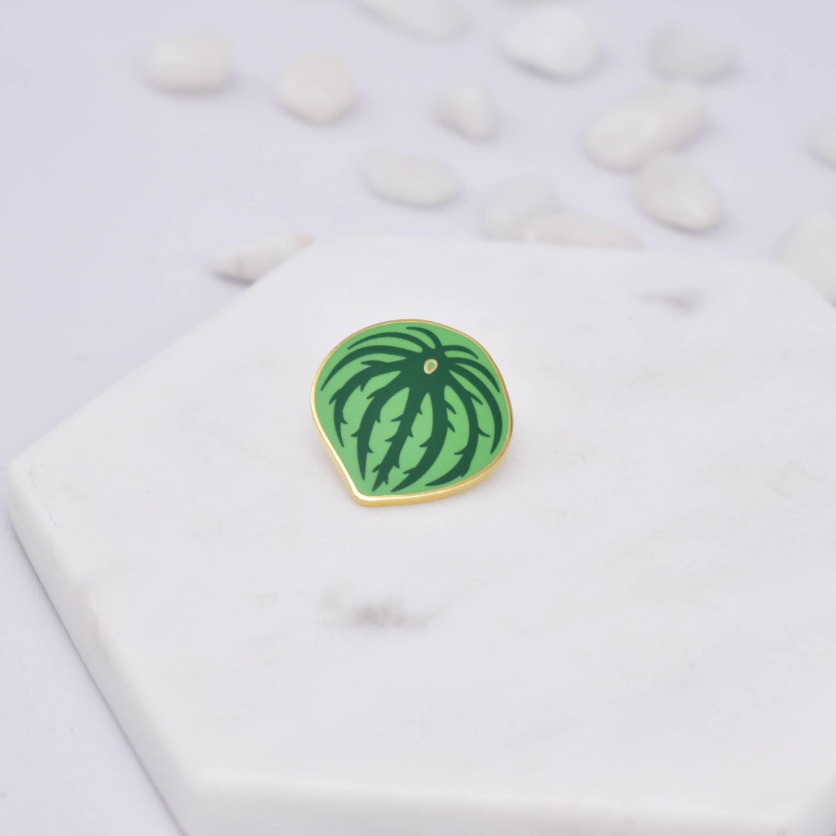 Watermelon Peperomia Plant Enamel Pin