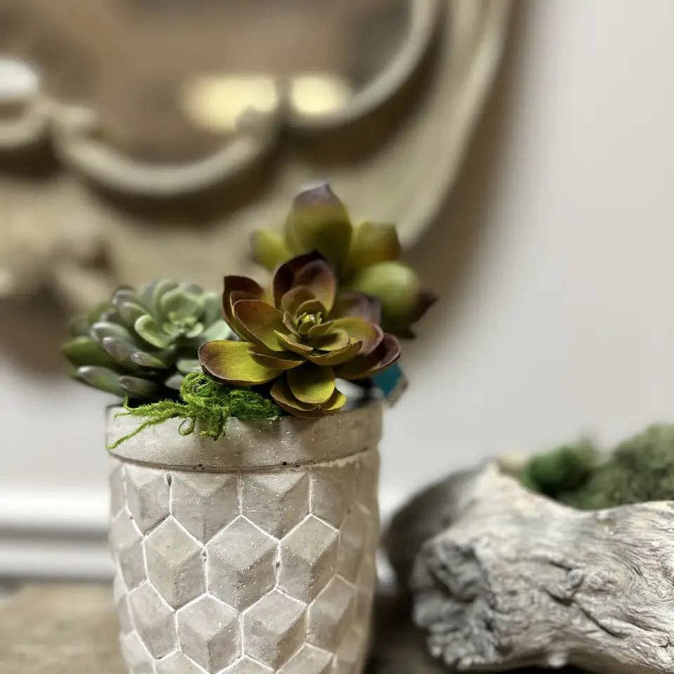 Geometric Cement Planter