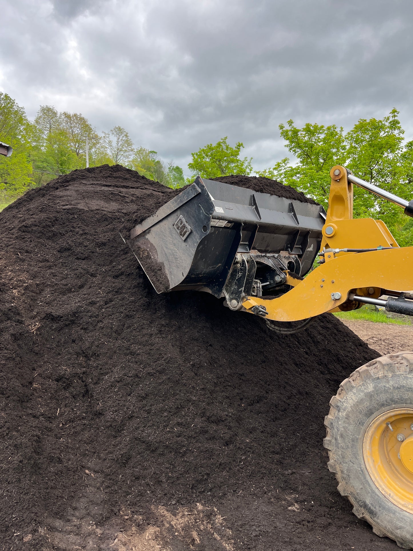 Bulk Bark Mulch Premium Dark