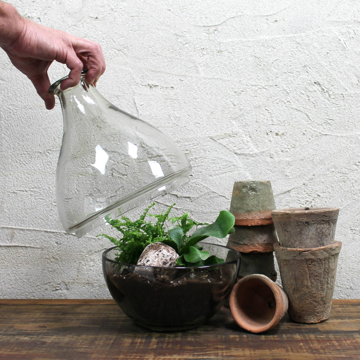 Terrarium, Glass