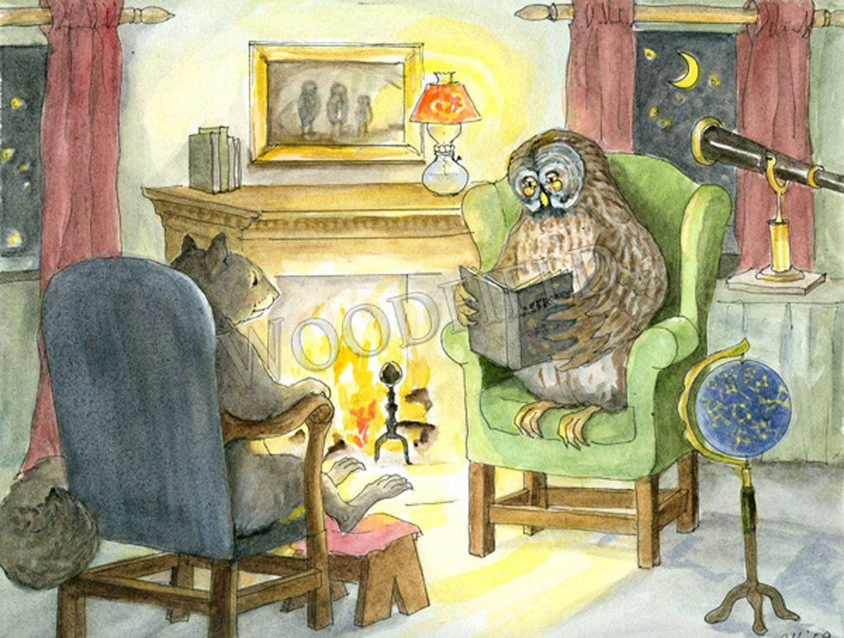 #749 - Evening at Owl's Notecard