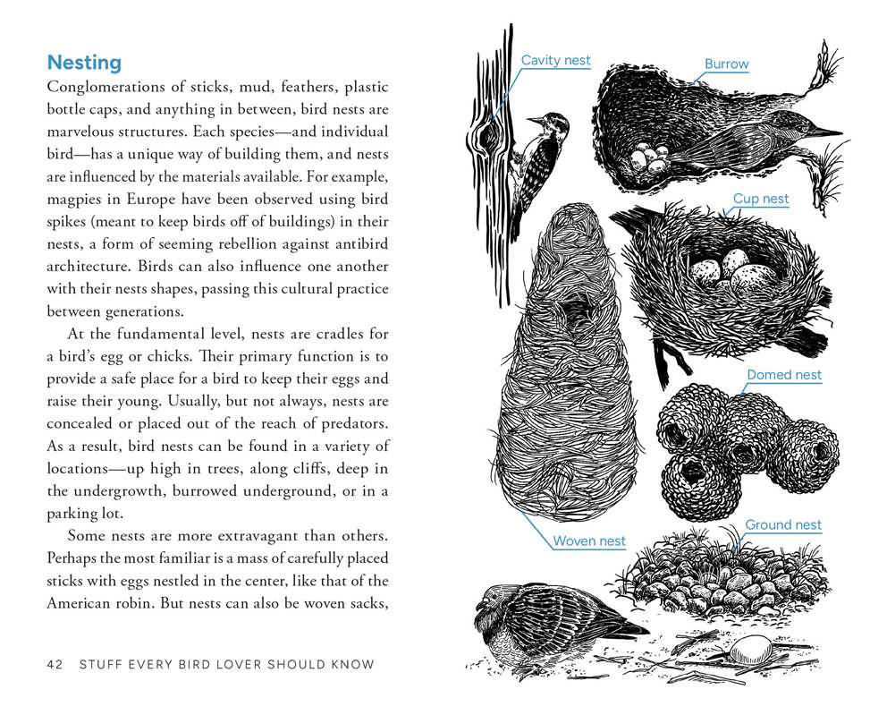 Stuff Every Bird Lover Should Know by Alice Sun