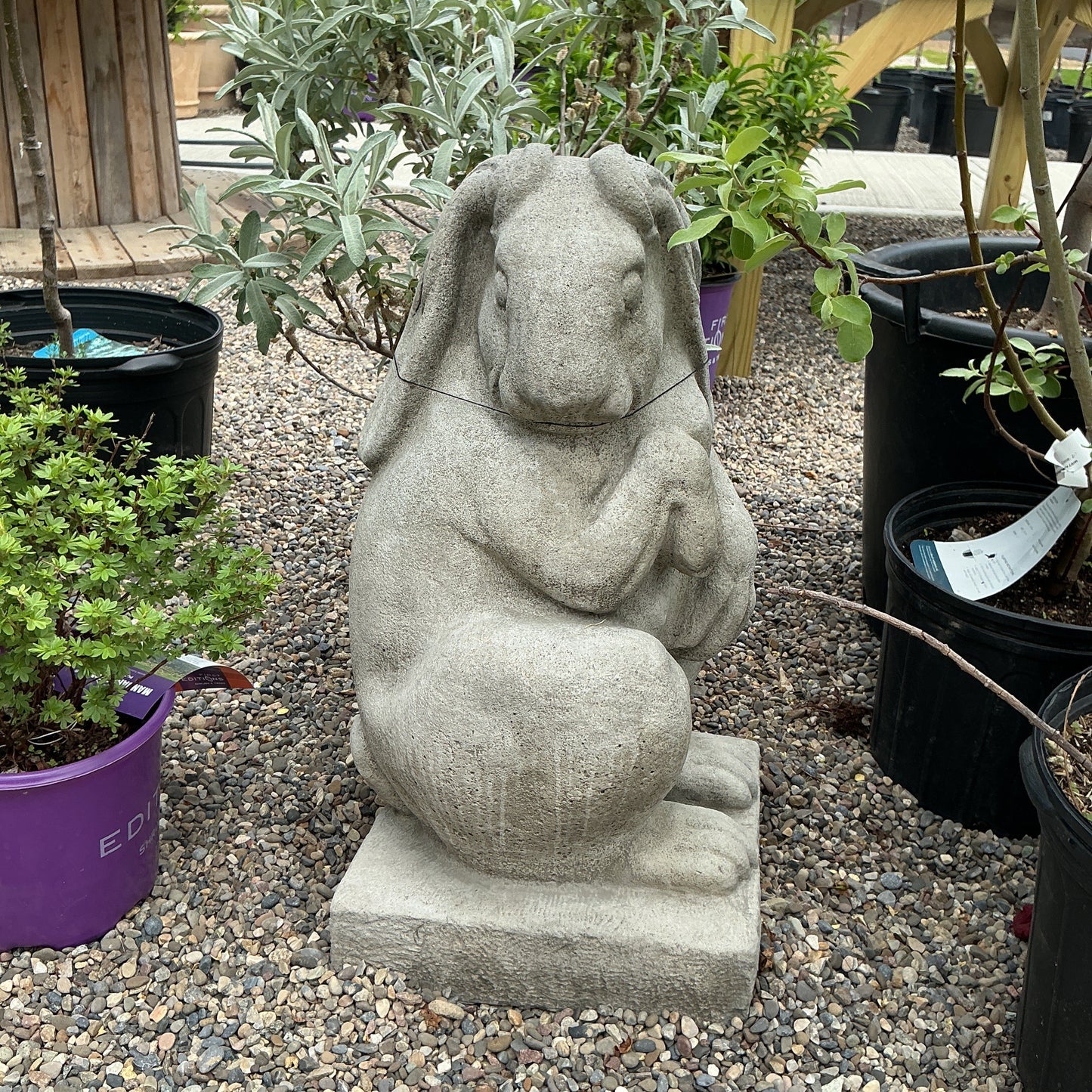 Newport Rabbit Set