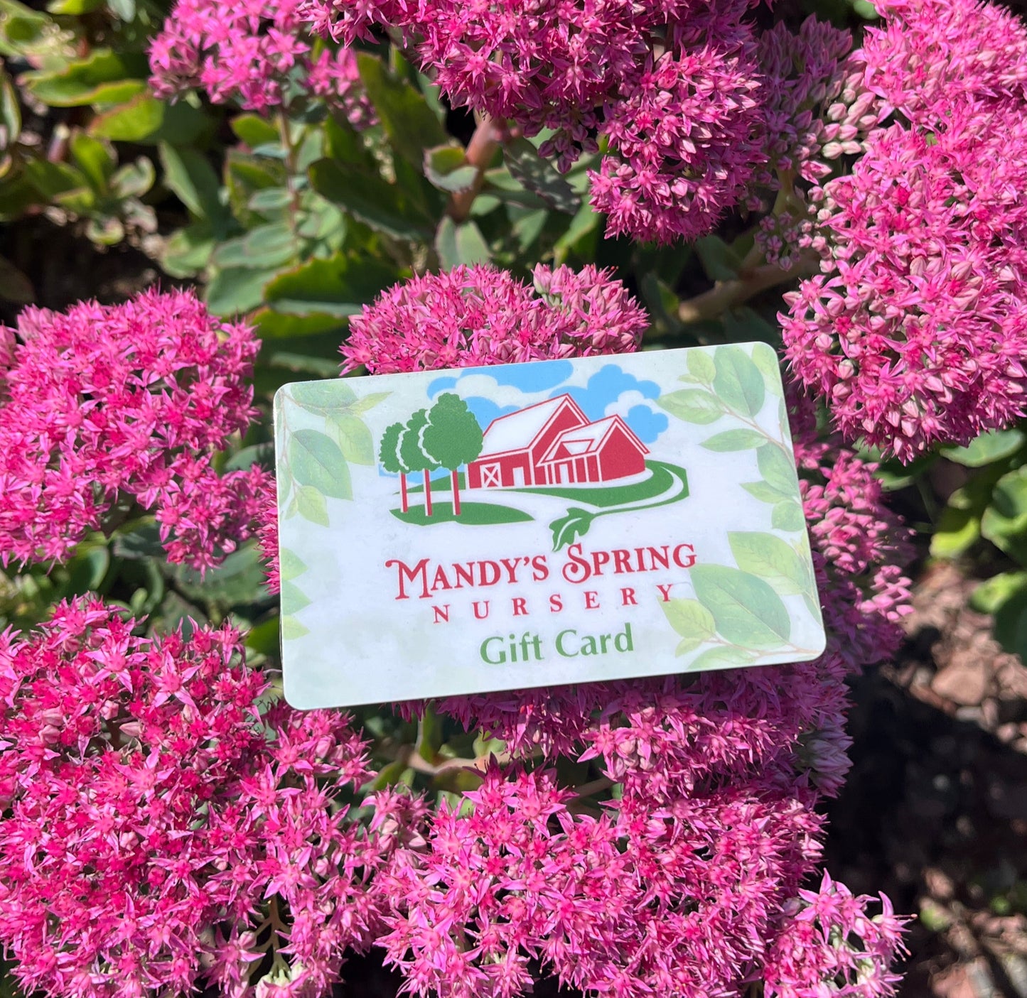 Mandy's Spring Nursery Gift Card