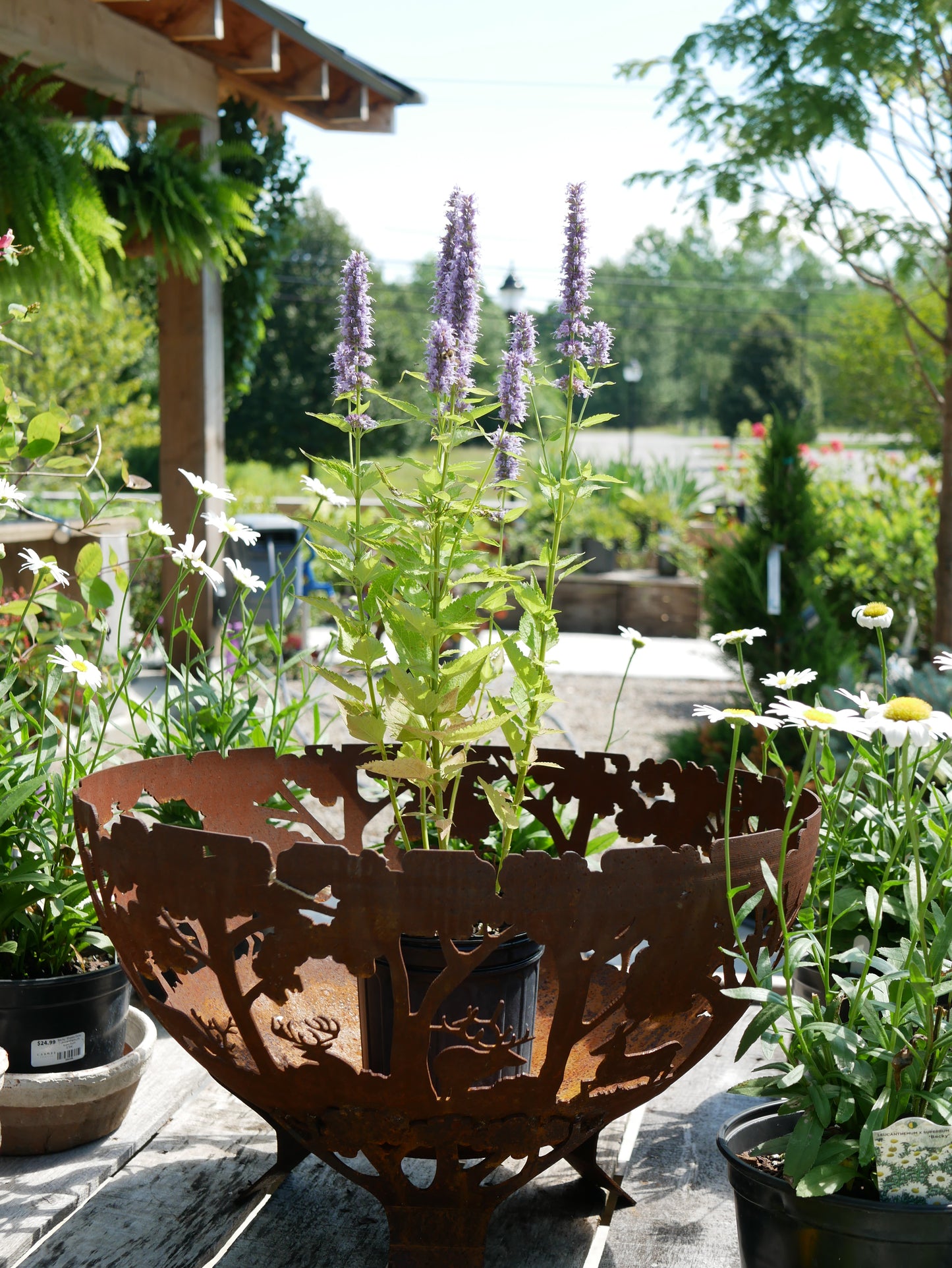 Wildlife Fire Bowl, Steel, Rust - Large