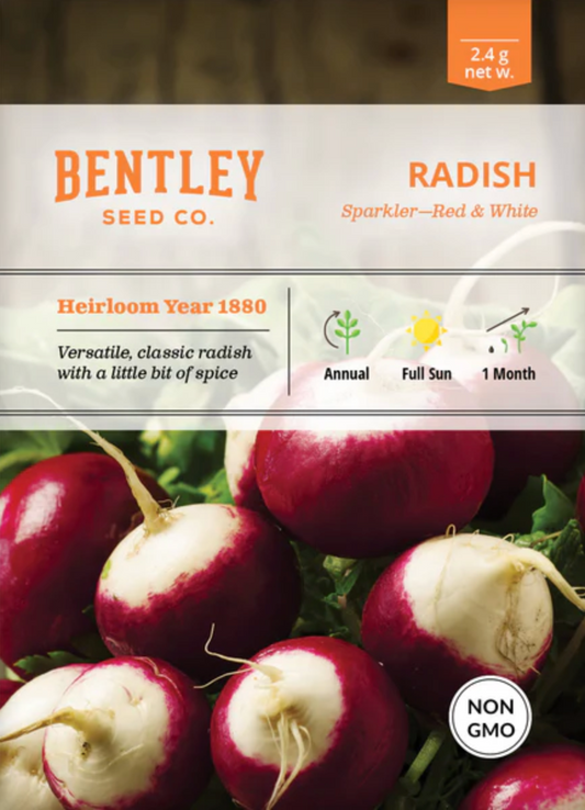 Radish 'Sparkler ' - Vegetable Seeds