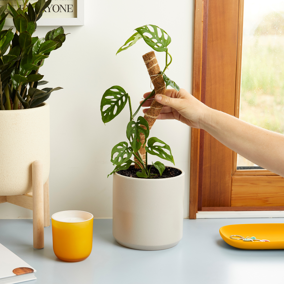 Coconut Coir Bendable Grow Pole 16"