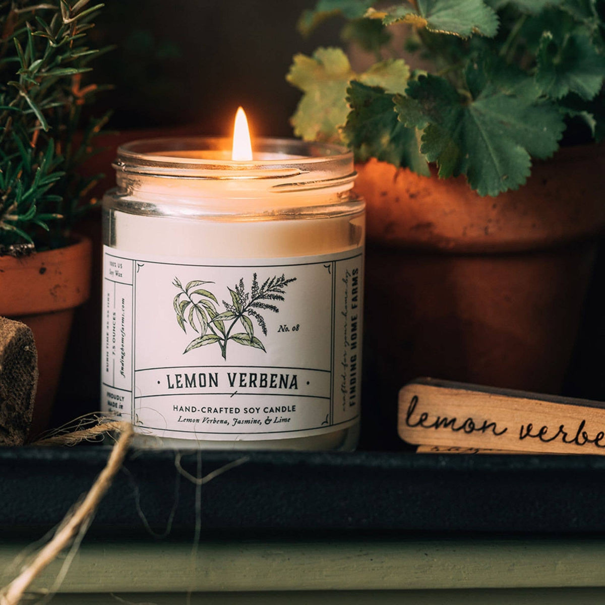 Soy Candle, Lemon Verbena, Fresh Scent