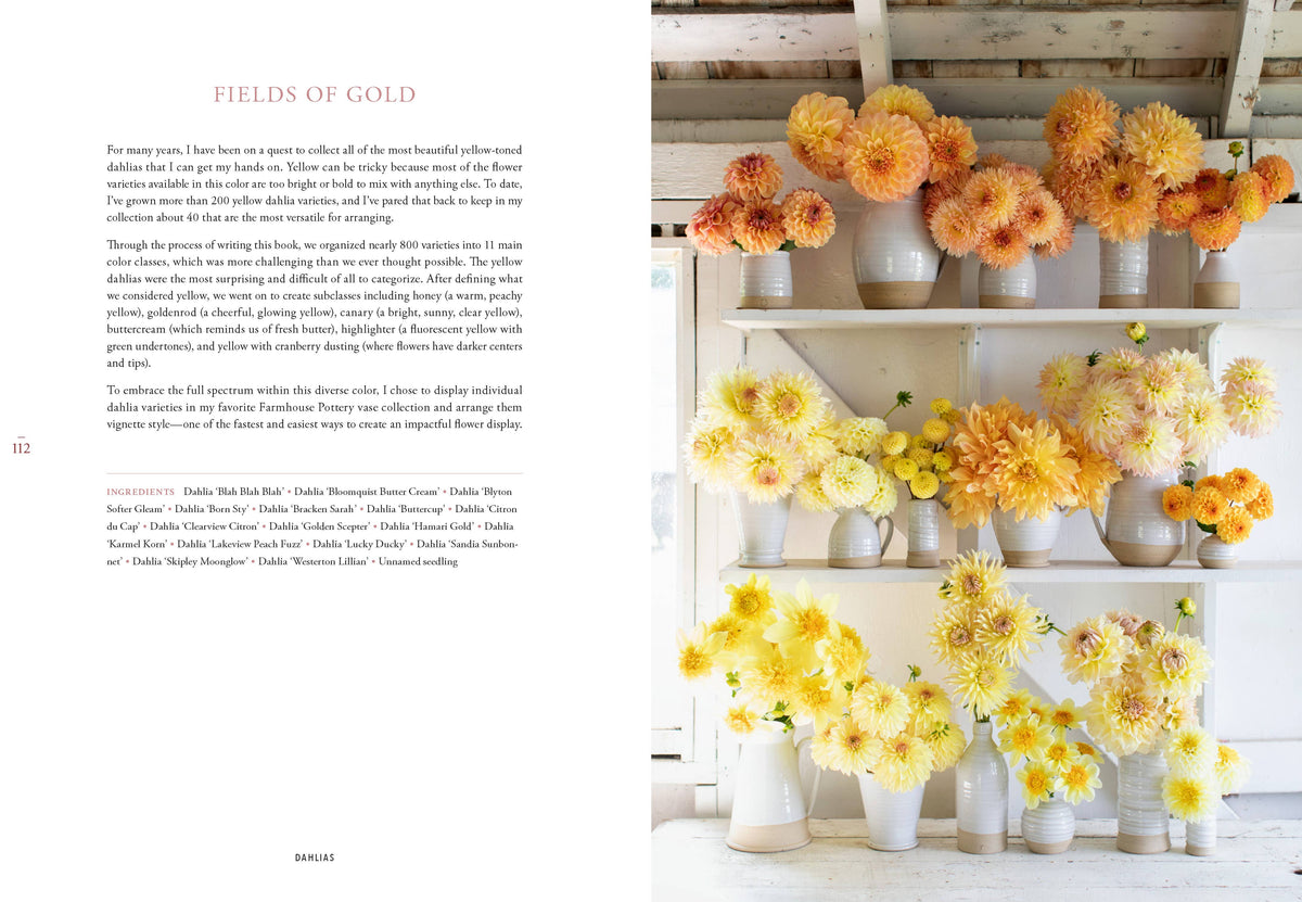Floret Farm's Discovering Dahlias