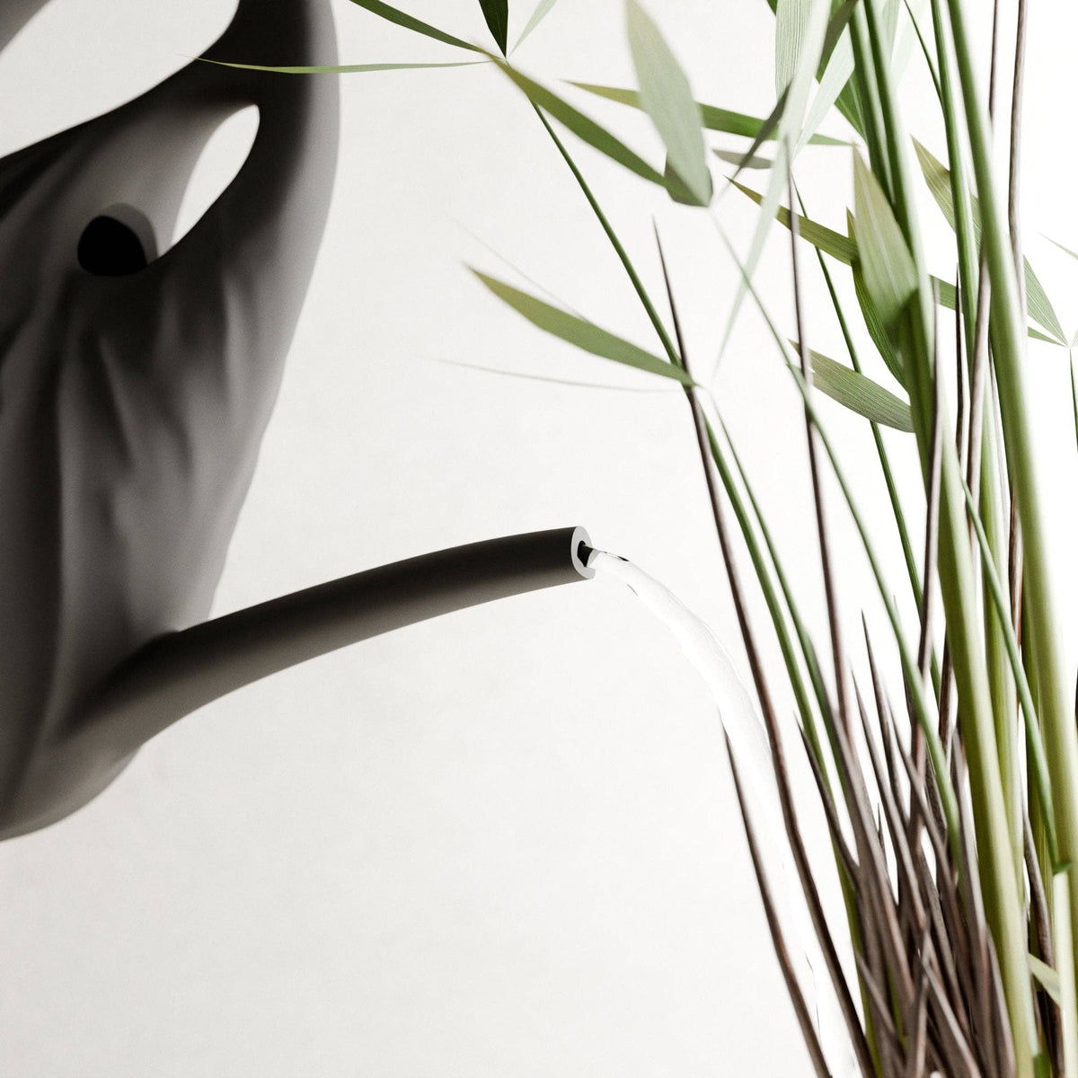 SWIRL Watering Can