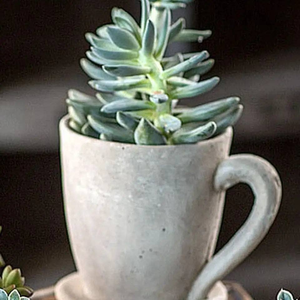 Cement Tea Mug Planter