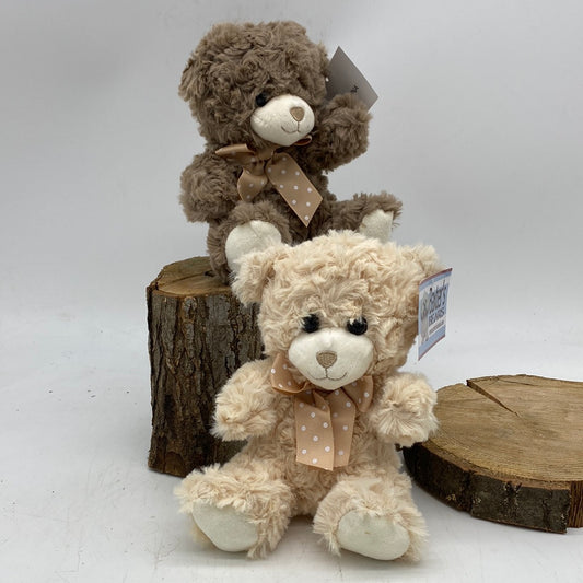 Baxter's Plush Bear