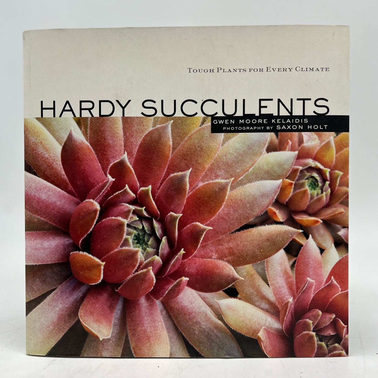 Hardy Succulents - Gwen Moore Kelaidis