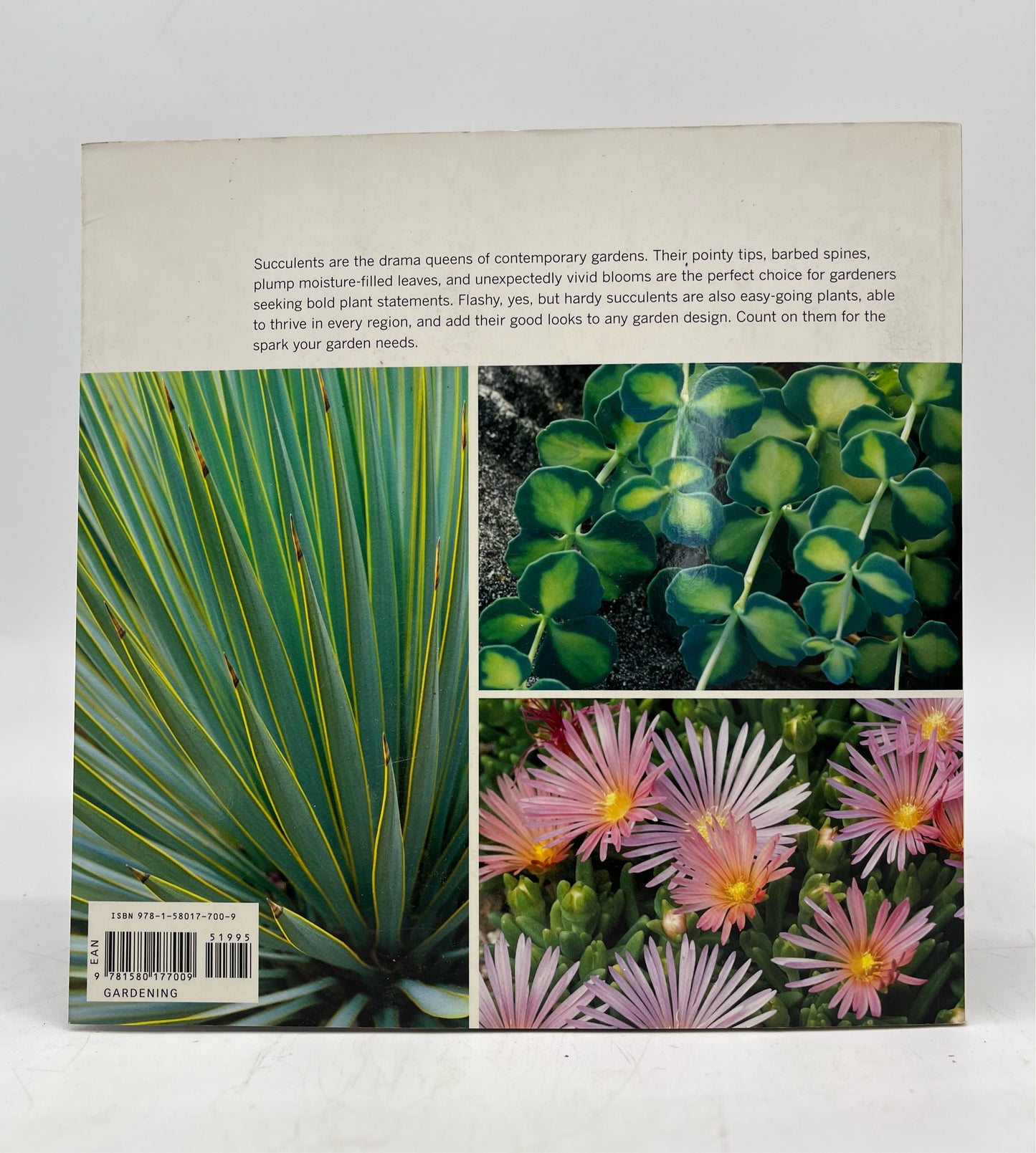 Hardy Succulents - Gwen Moore Kelaidis