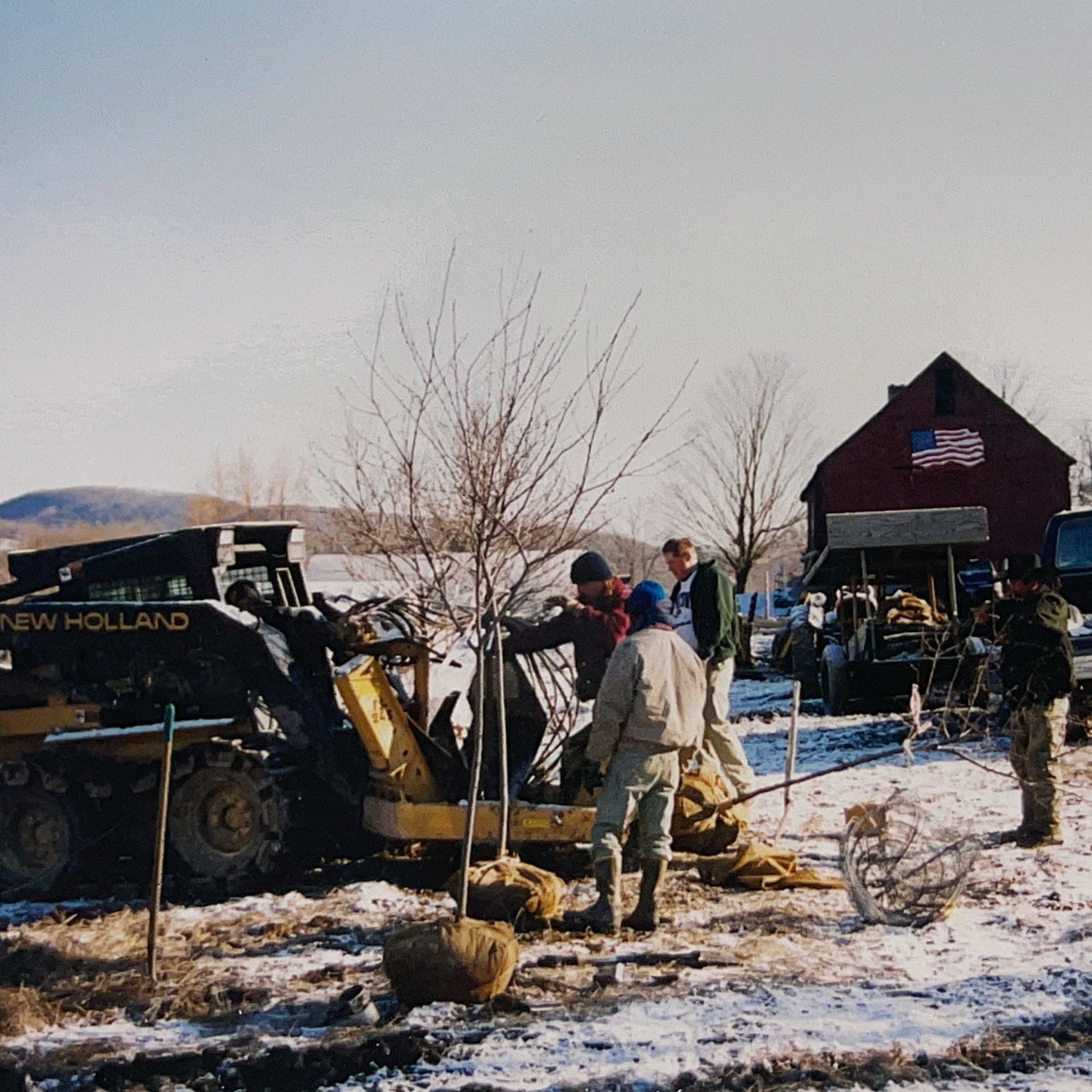 2025 Dig Sale