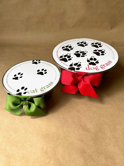 Garden in a Bag | Dog Grass | Spring Pet Treat Gift