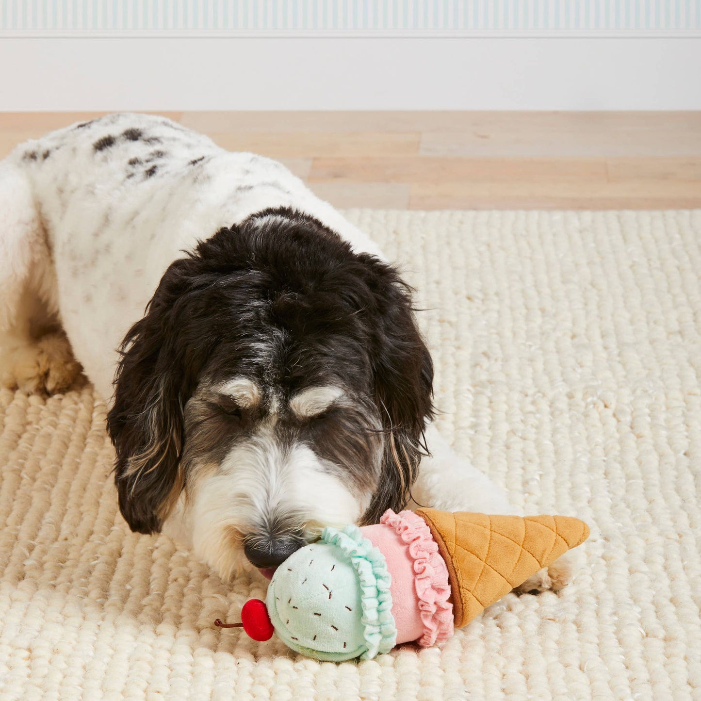 Ice Cream Interactive 2-in-1 Bounce Dog Toy