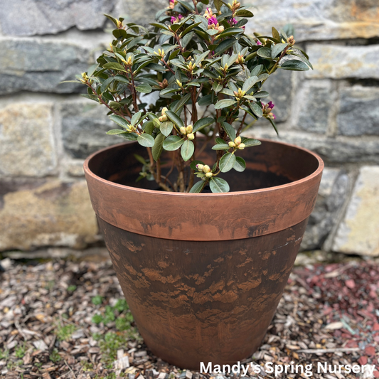 Marbled Terracotta Planter