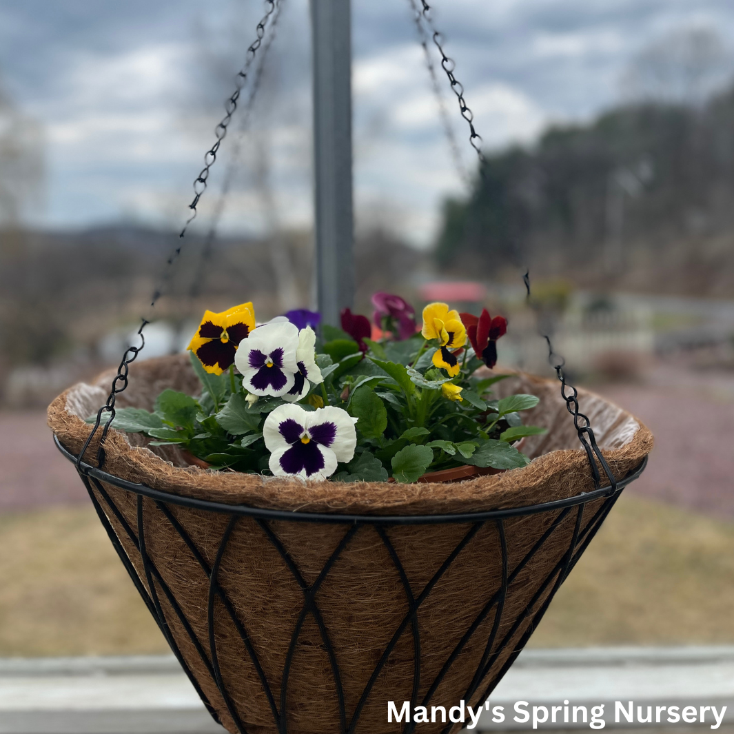 Coco Coir Hanging Planter