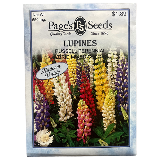 Lupine - Russell Perennial Hybrid Mix Seeds