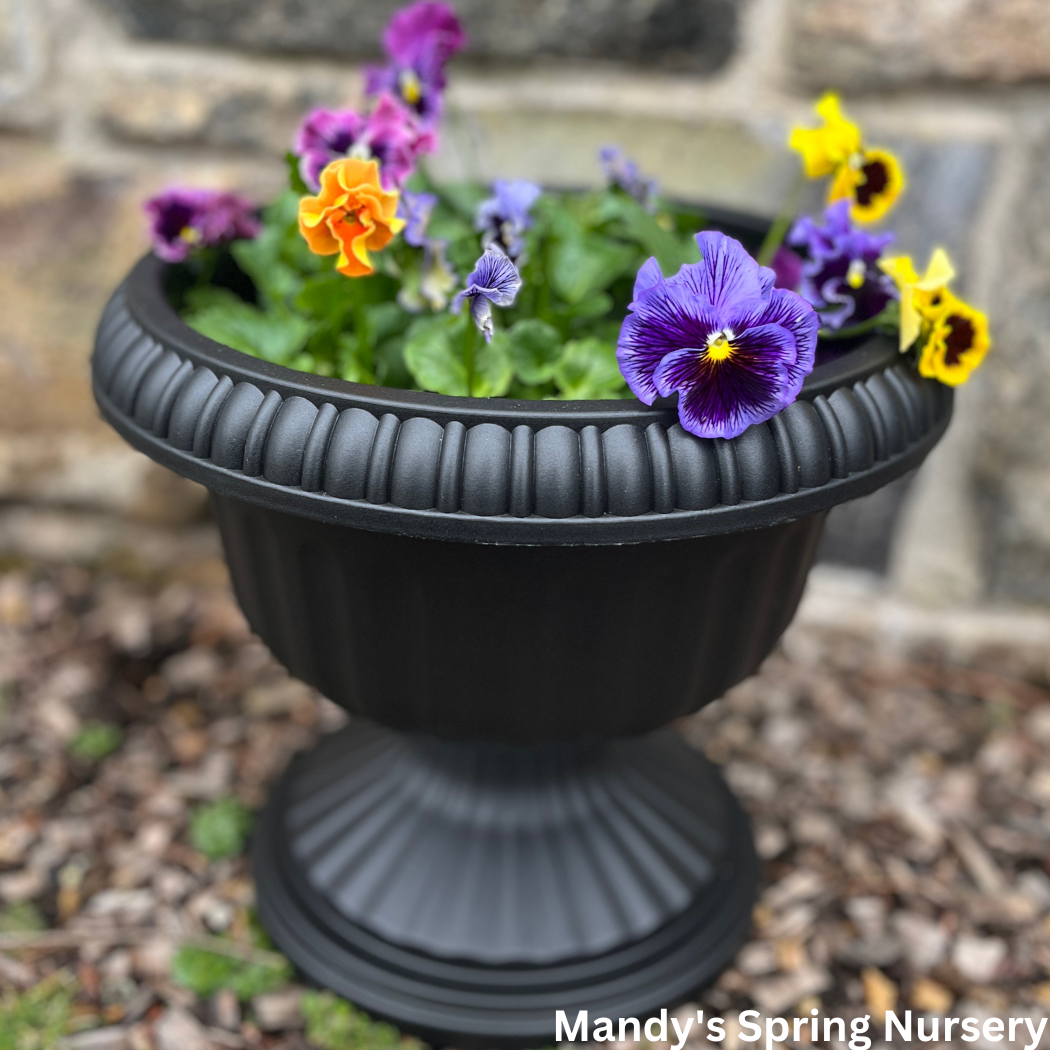 'Grecian' Urn Black Planter