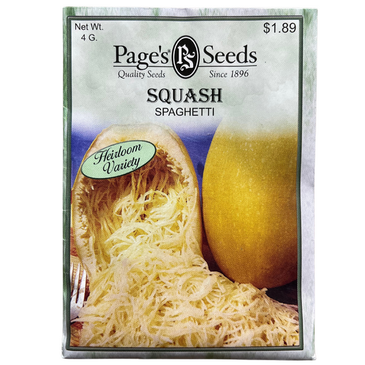 Spaghetti Squash Seeds