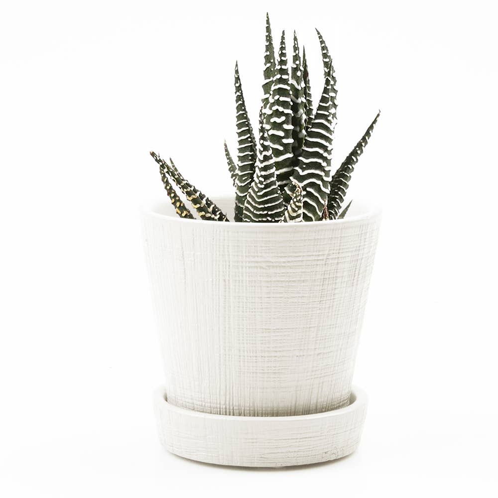 Mick Planter Pots With Drainage Holes Bulk SALE SALE