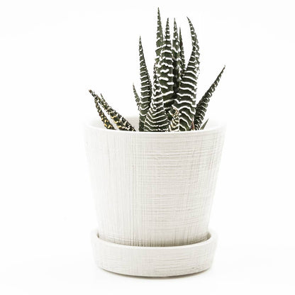 Mick Planter Pots With Drainage Holes Bulk SALE SALE