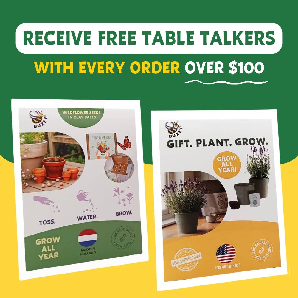 Holiday Paperwhite Bulb Grow Pail | Winter Flower Gift Kit
