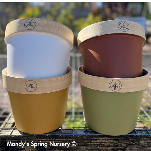 Bamboo Flower Pot