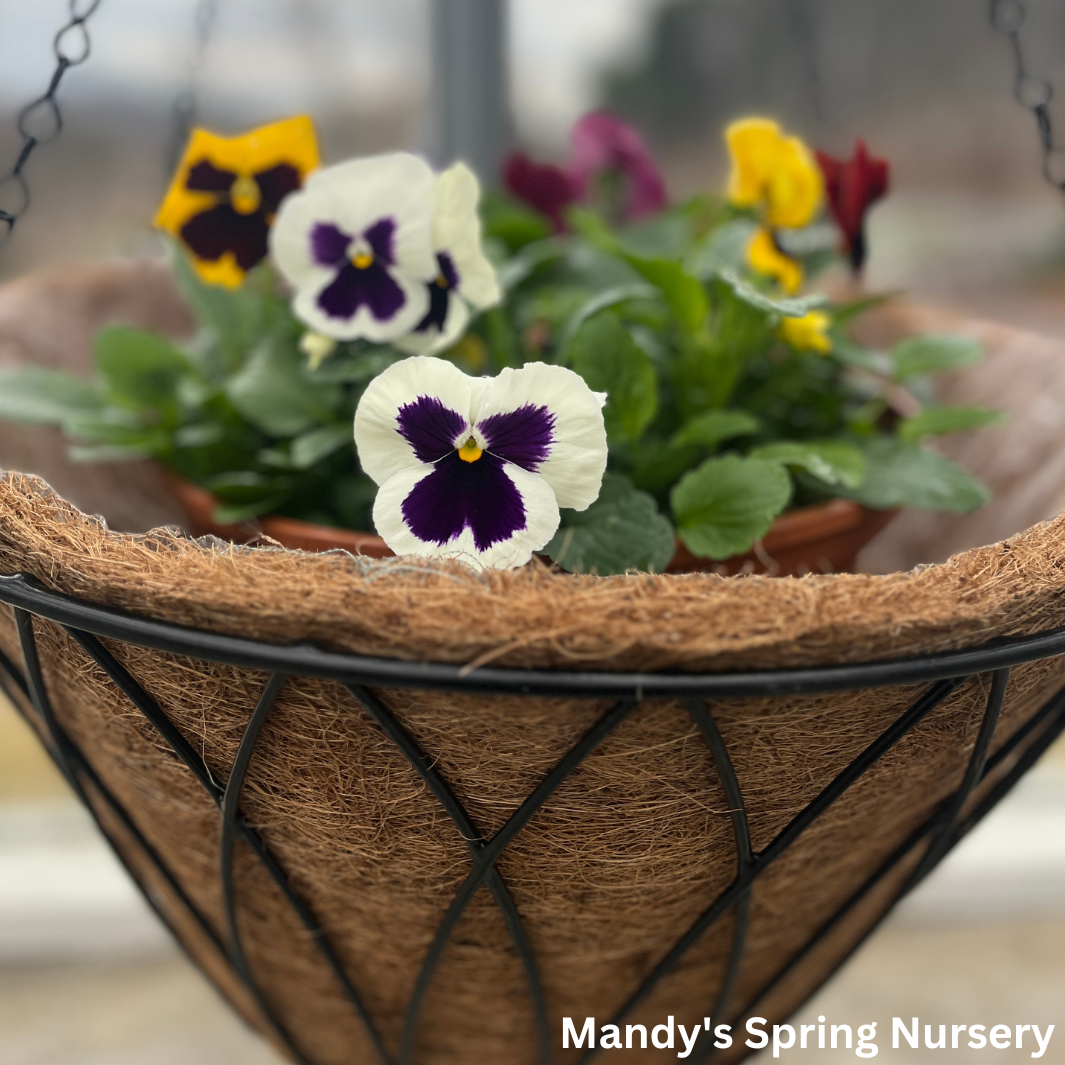 Coco Coir Hanging Planter