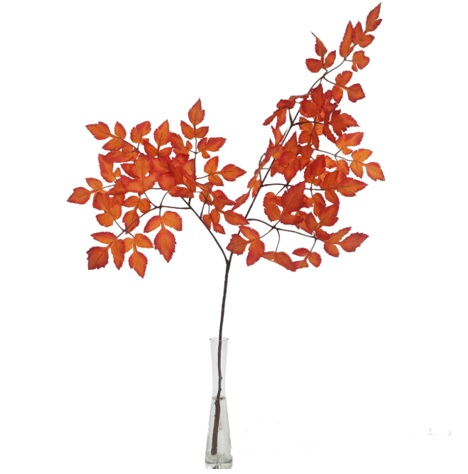Plum Fake Cimicifuga Ramosa Leaves Branches
