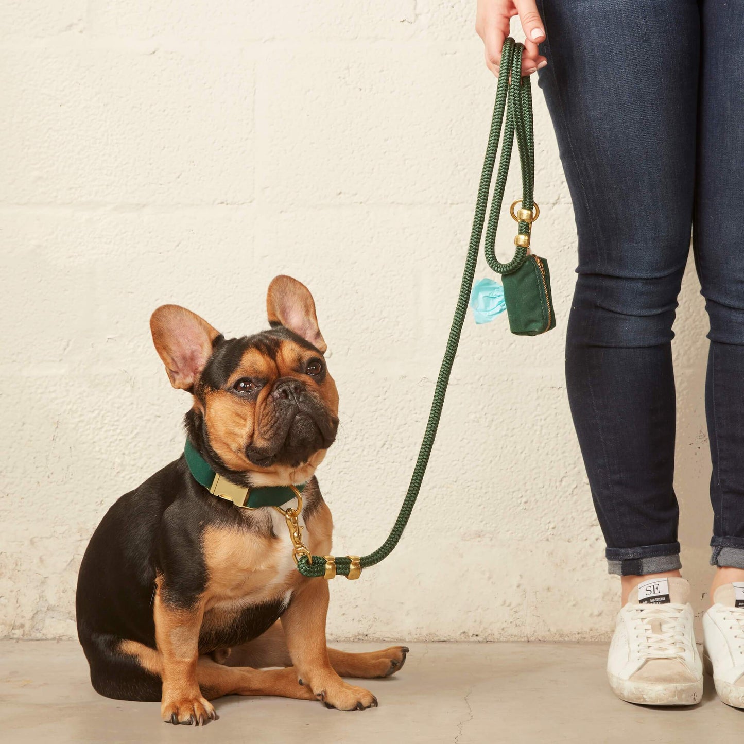 Evergreen Dog Collar