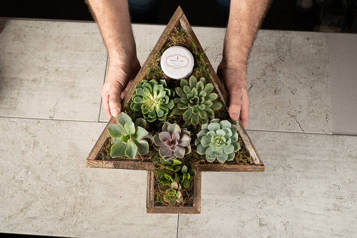 Christmas Tree Rustic Reclaimed Wood Planter / Tray
