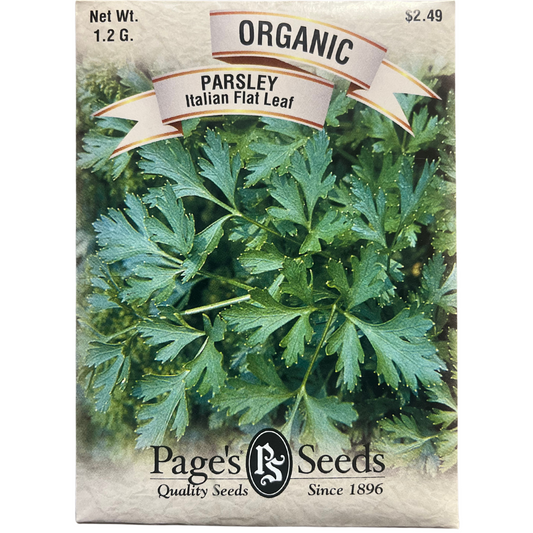 Organic Italian Parsley - Herb Seeds