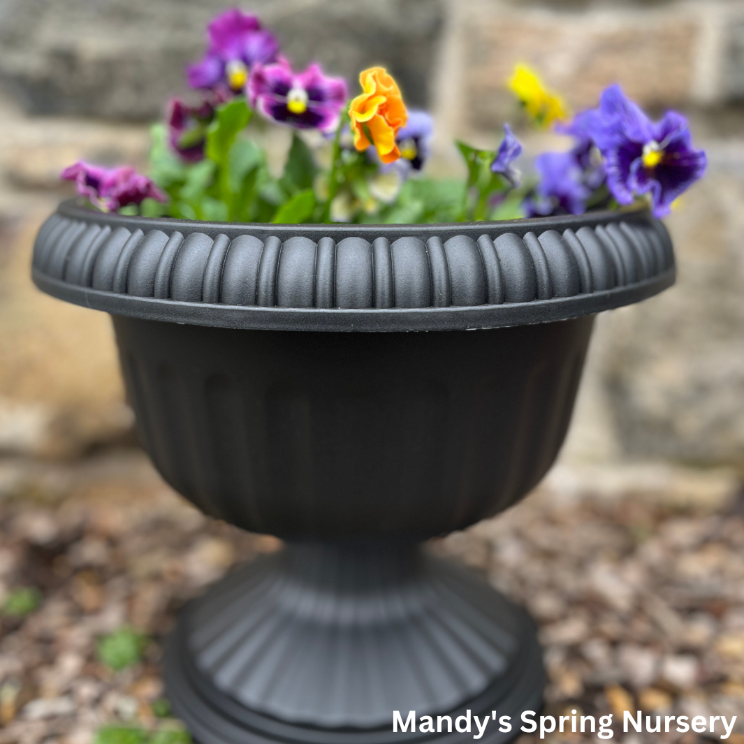 'Grecian' Urn Black Planter