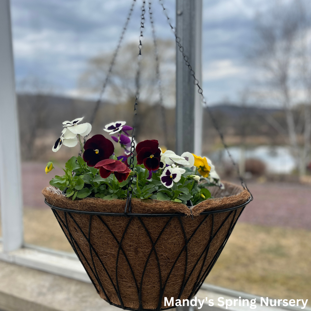 Coco Coir Hanging Planter