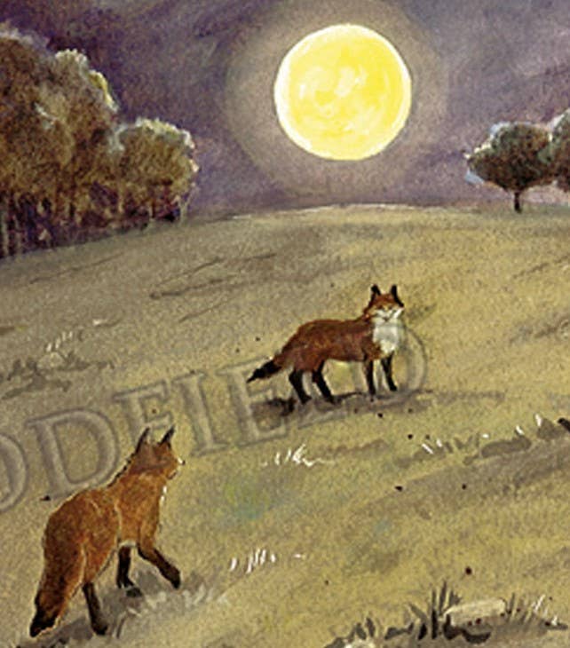 #307 - Foxes Moonlight Notecard