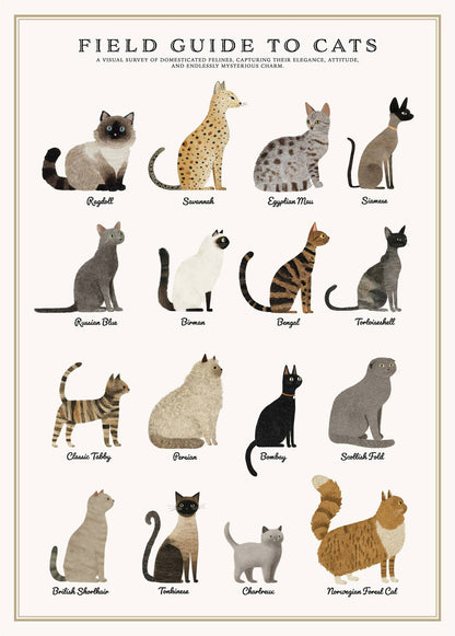 Cats Puzzle – 500 Pc Tube with Vintage Illustrations
