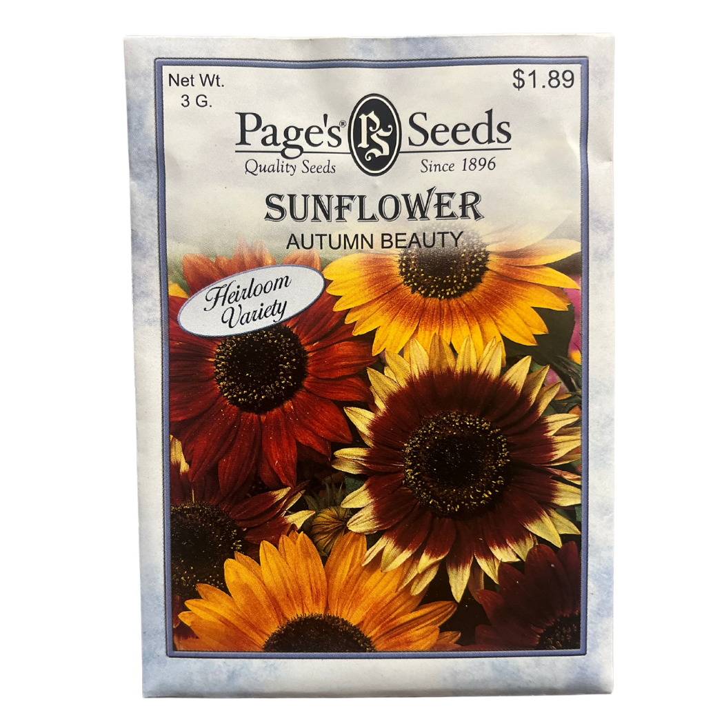 Sunflower - Autumn Beauty Seeds